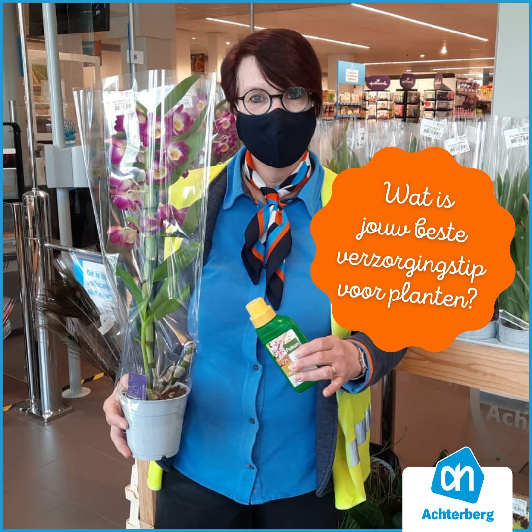 Het is plantjesdag vandaag!