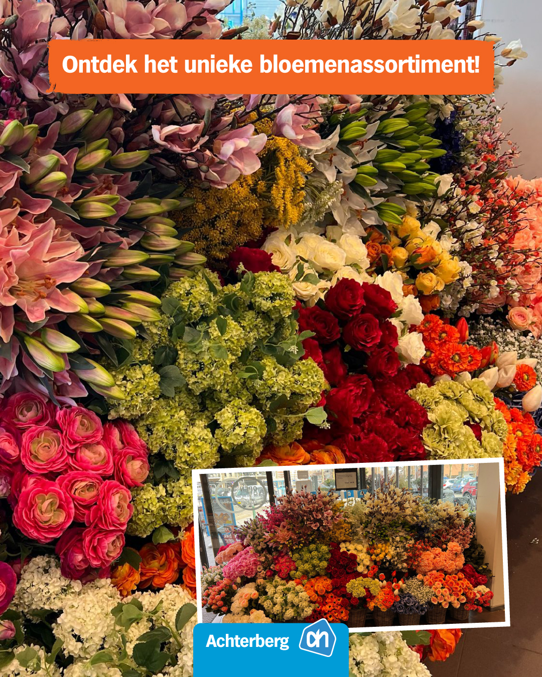 Ontdek het unieke bloemenassortiment bij Albert Heijn Achterberg!