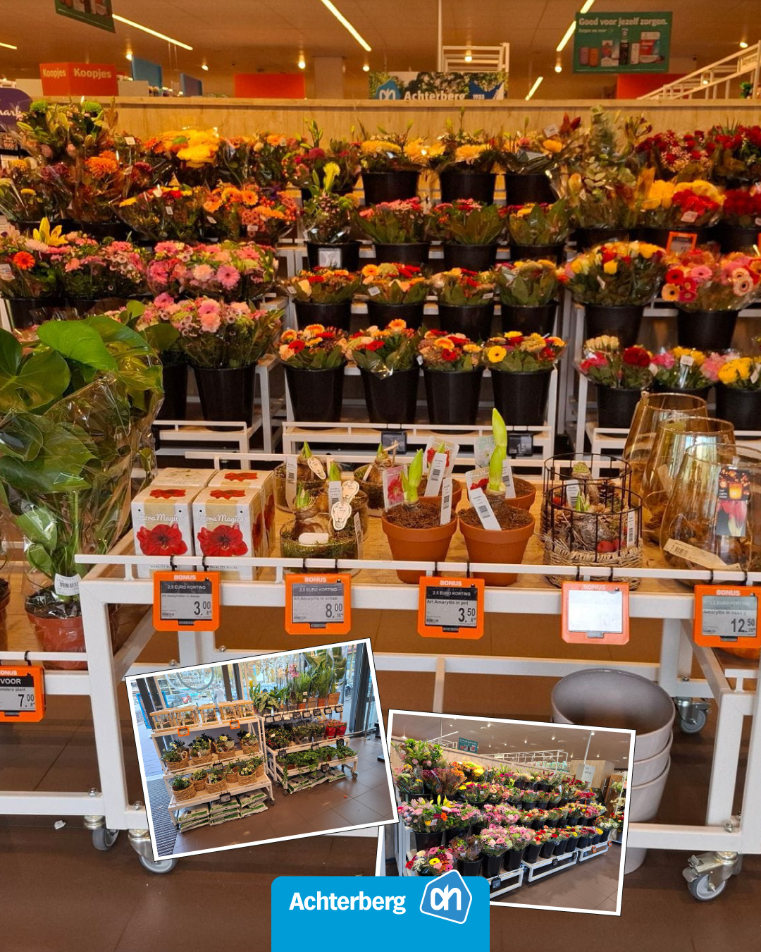 We hebben weer een mooi assortiment bloemen en planten!