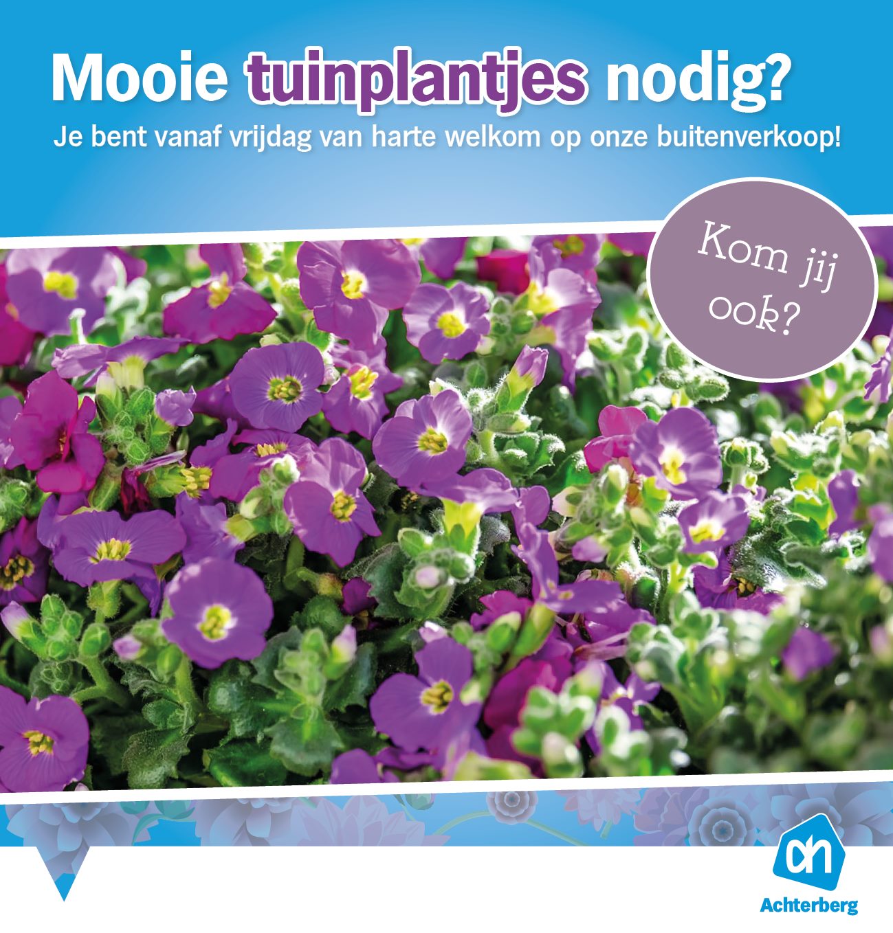 Mooie tuinplantjes nodig?