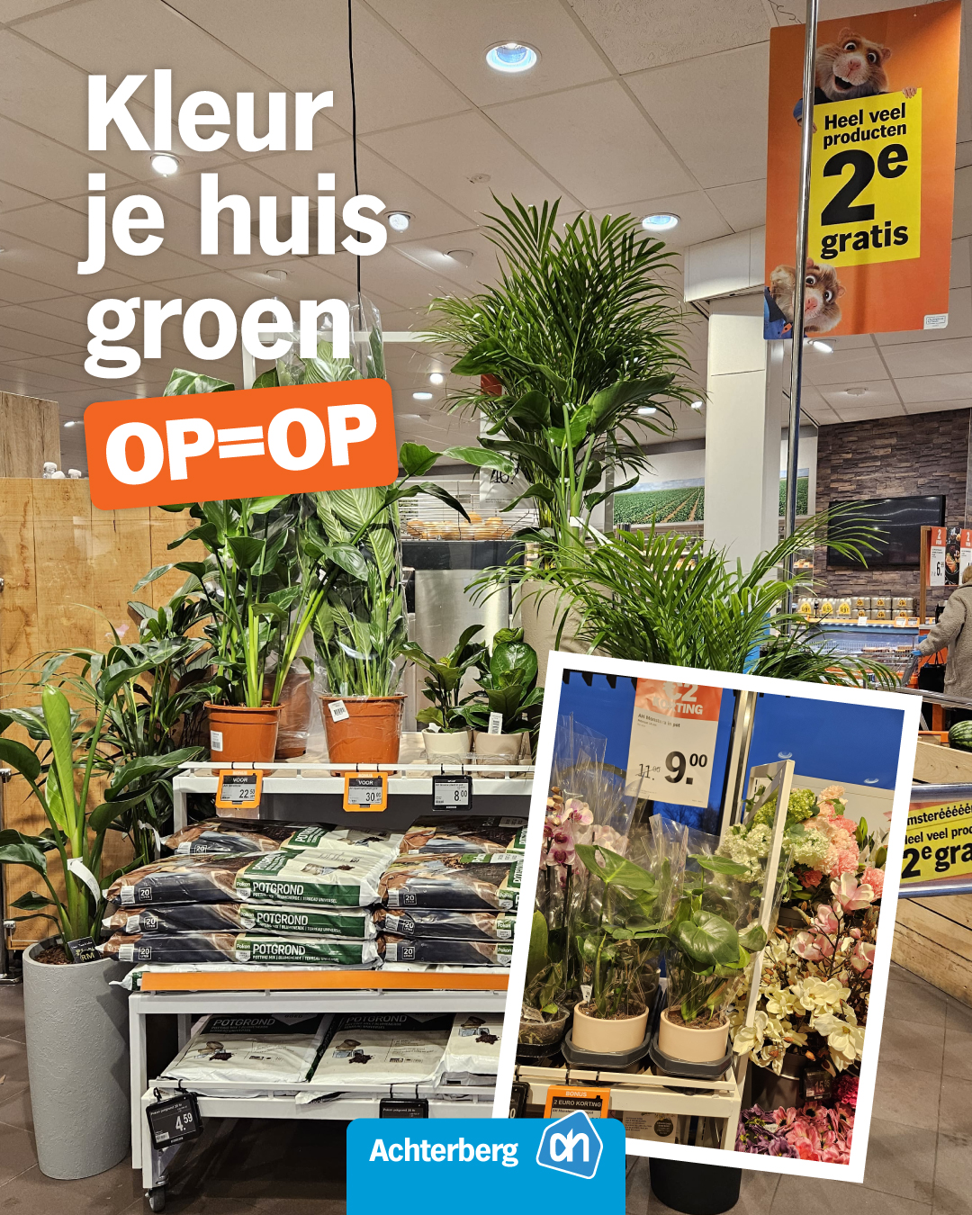 Kleur je huis groen!