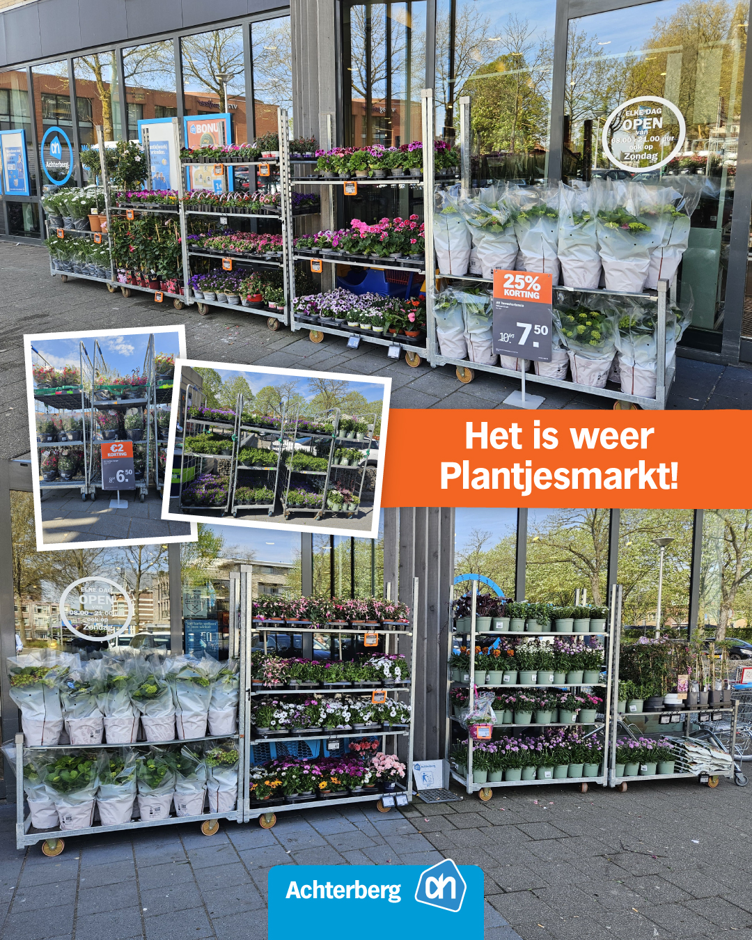 Het is weer Plantjesmarkt bij Albert Heijn